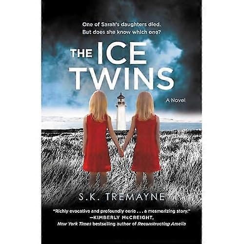 The Ice Twins