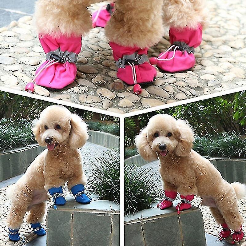 small dogs dog snow boots uk