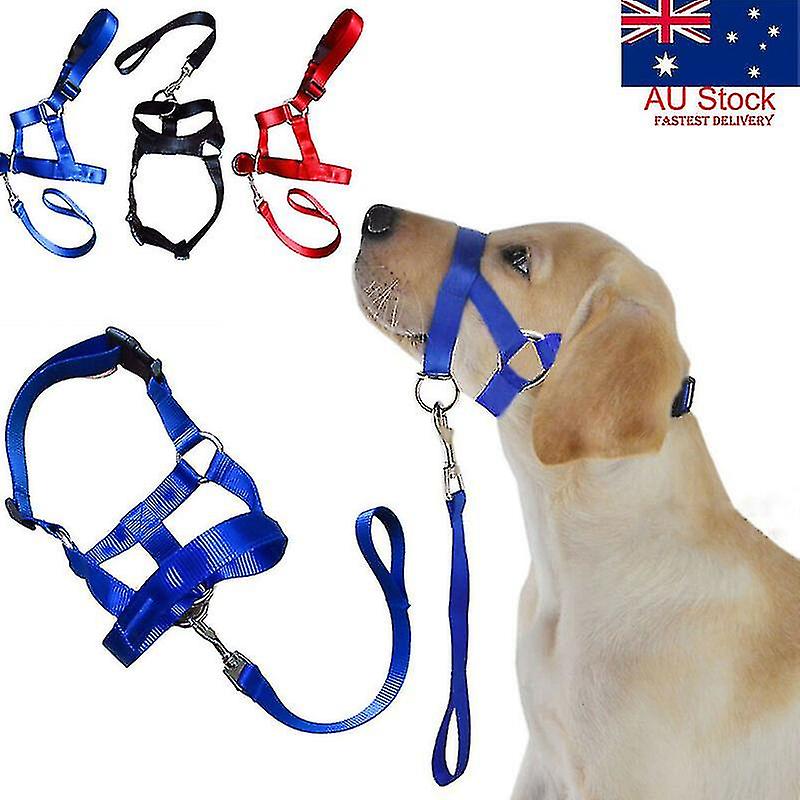 クリエイティブドッグホルターハルティトレーニングヘッドカラージェントルリーダーハーネスナイロン