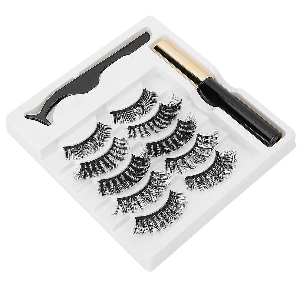 5 Pairs False Eyelashes Magnetic Liquid Eyeliner Tweezers Set Eyelashes Makeup Set (005)