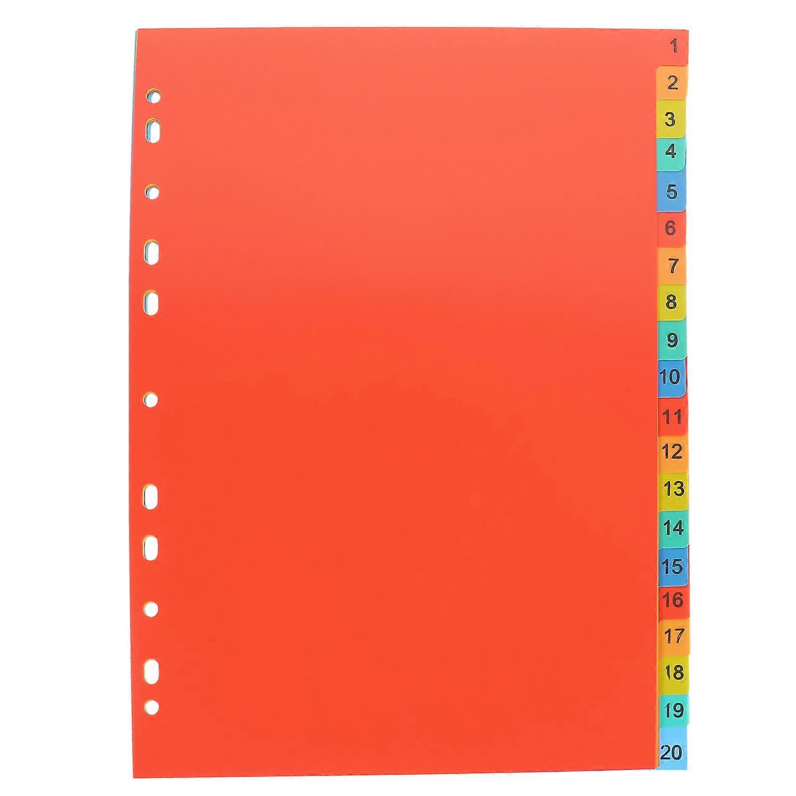 20 Sheets A4 Binder Divider File Divider Subject Divider For Binder Notebook For School Office
