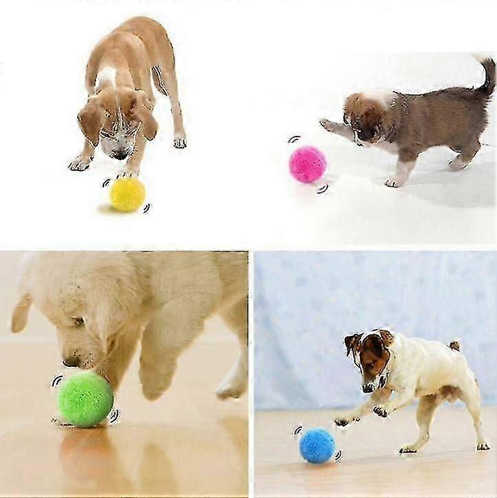 Automatic Magic Roller Ball For Pet Dog Play Toys