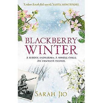 Blackberry Winter Upea juhlamysteeri, jonka kanssa voi käpertyä lomien ajaksi