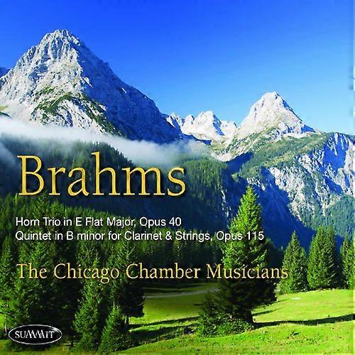 Chicago Chamber Musicians - Brahms [CD]