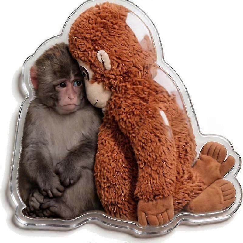 Casual Boxing Monkey Fridge Magnet Black