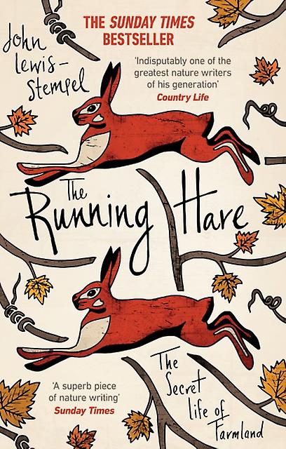 The Running Hare by John LewisStempel Paperback Book