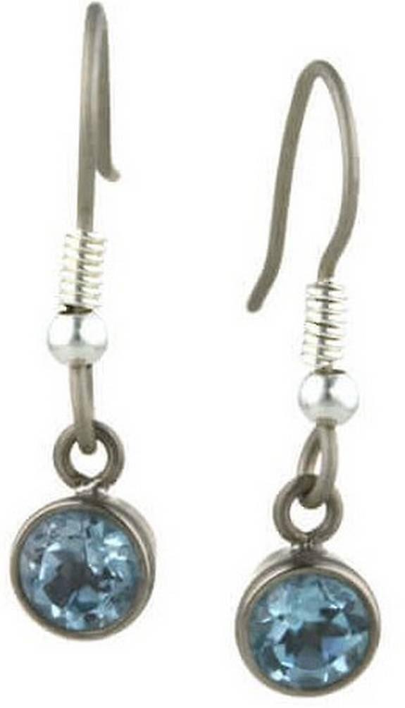 Ti2 Titanium Medium Gem Stone Drop Earrings - Blue