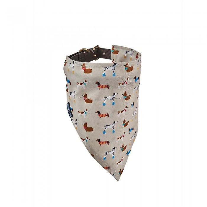 Digby & Fox Dog Bandana