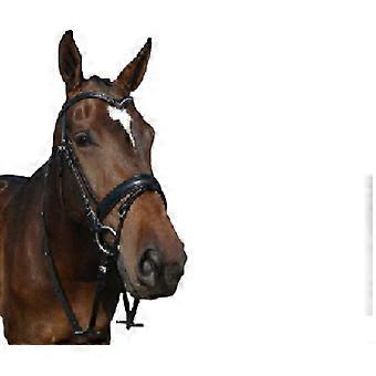 Dehli Bridle for Horse