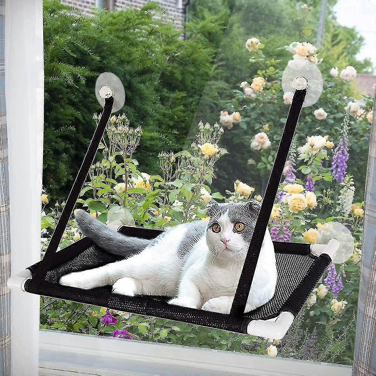 Asientos de ventana para gatos Accesorios para gatos Asiento de ventana Tumbona de ventana Tumbona para gatos para gatos de pared de escalada