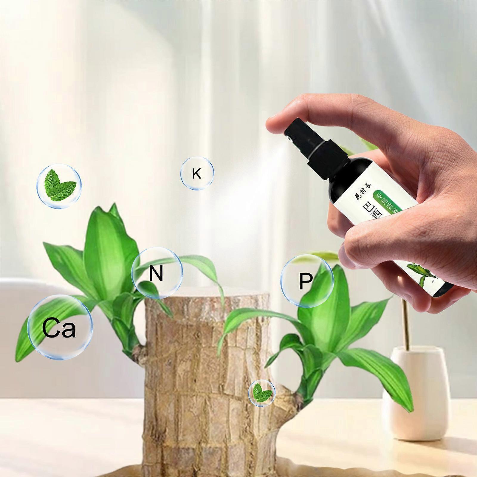 Nutrient Solution for Brazilian Wood 100ml 1 bottle