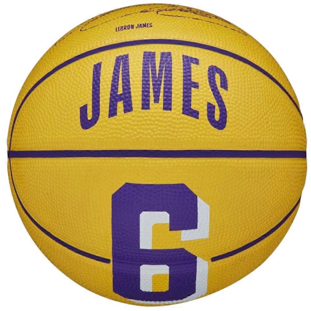 Wilson Nba Player Icon Lebron James Mini WZ4007201XB basketball