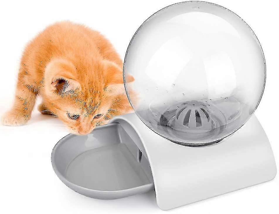 Kæledyr vanddispenser