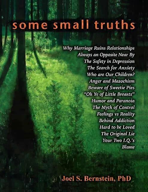 Some Small Truths - Joel S Bernstein
