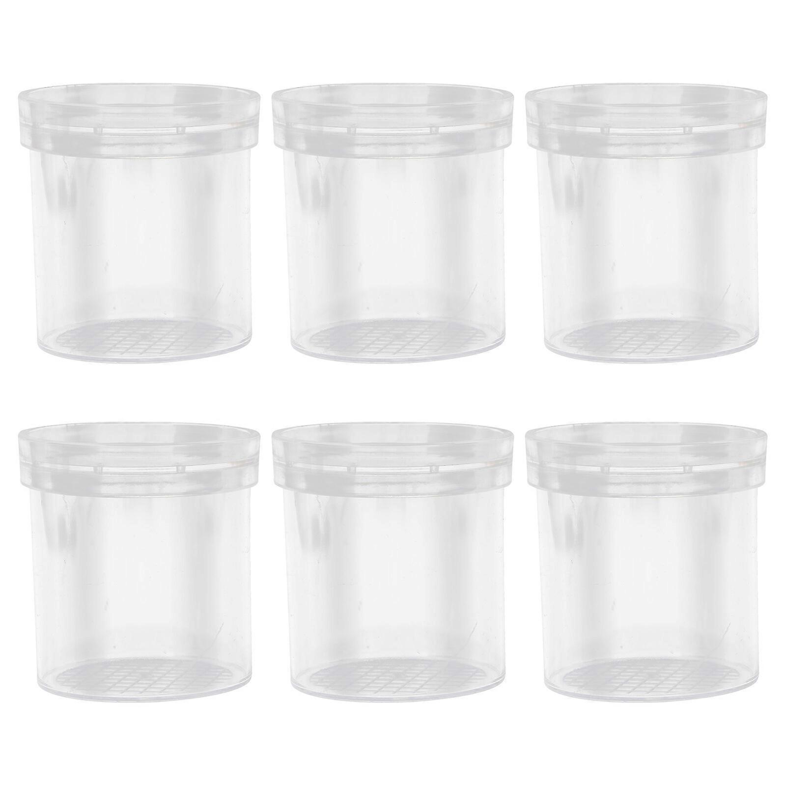 6Pcs Plastic Insect Observing Jar Outdoor Magnifying Bug Viewer Transparent