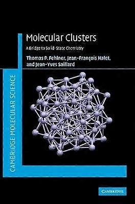 Molecular Clusters A Bridge to SolidState Chemistry Cambridge Molecular Science