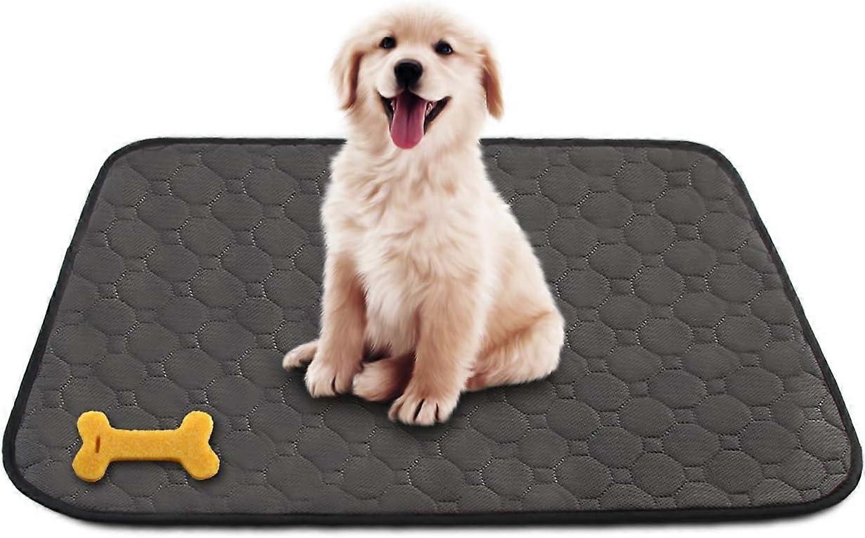 Washable Guinea Pig Pee Pads, Super Absorbent Pet Training Mat, Leakproof Material Ensures Safe Floors, Non-Slip Bottom Layer For Stable Placement,