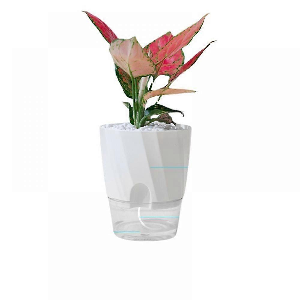 Lazy Green Flower Plant Automatic Absorbent Small Flower Pot Design Sense Transparent Hydroponic Plastic Pot