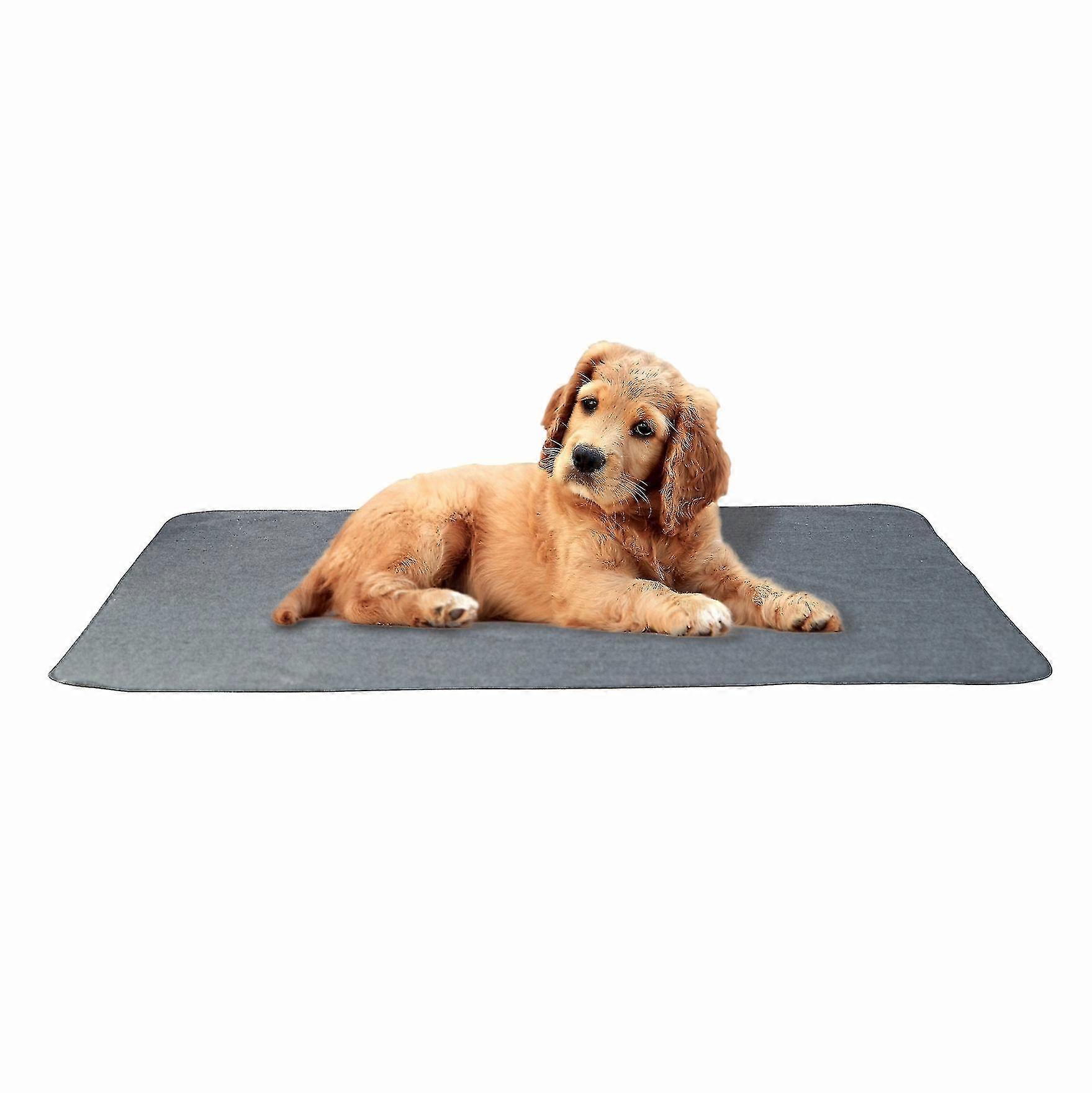 Washable Dog Bed in Grey, Suitable for Various Breeds, Dimensions 61x41x8cm