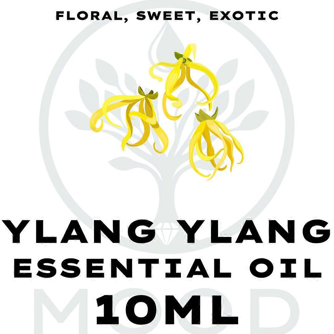 Ylang Ylang Essential Oil 10ml