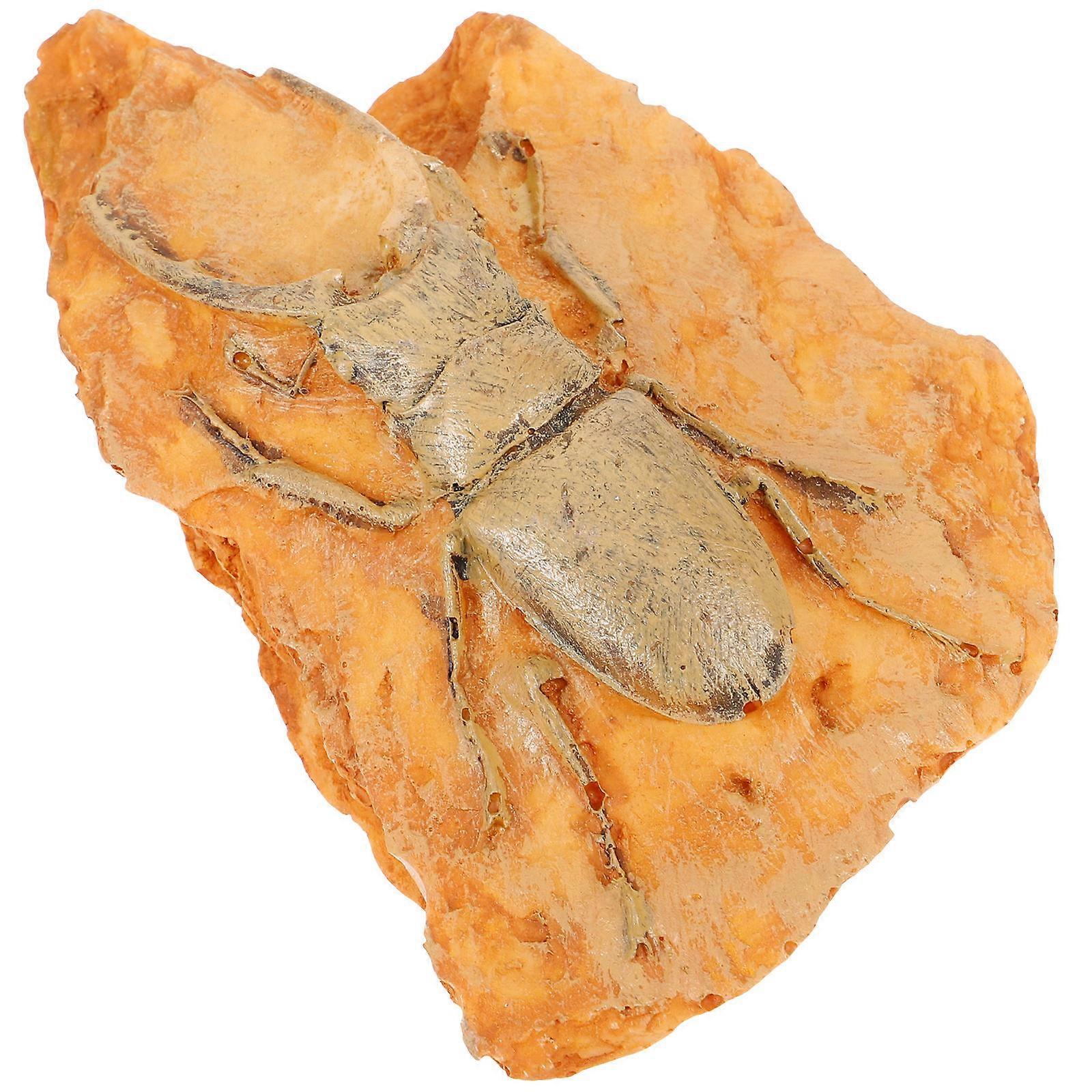 Paleontological Insect Specimen 3Pcs Decoration For Science Enthusiasts 3.85X2.55X0.98In Rectangular Teaching Tool