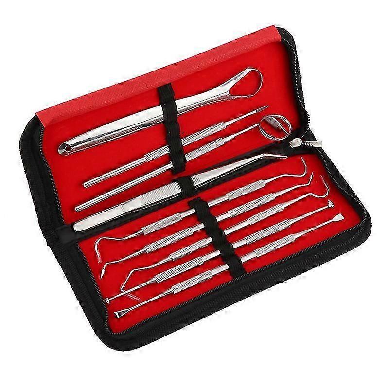 Dental care tools 9 parts with case Silver Silver