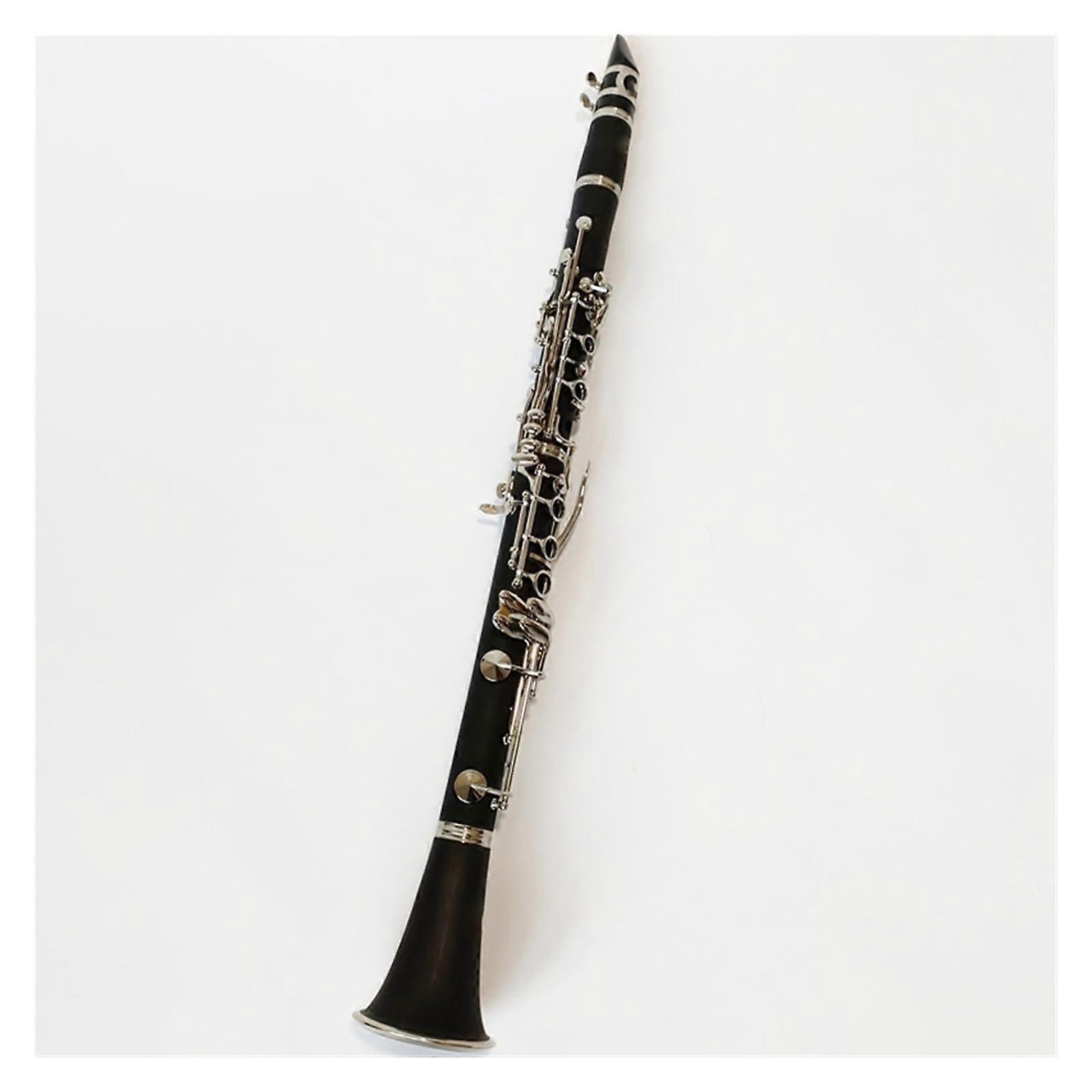 B Flat Student Clarinet for Beginners with NickelPlated Keys, Clear Tone and Easy Setup Kit
