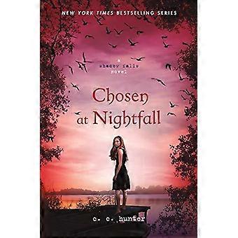 Chosen At Nightfall - C. C. Hunter - Paperback - en Book