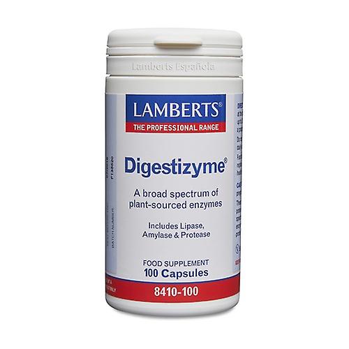 Digestizyme digestive enzymes 100 capsules