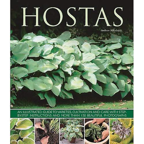 Hostas