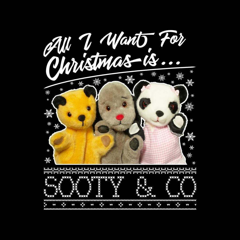 Sooty and co christmas