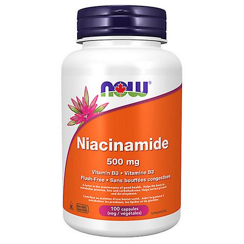 Niacinamide,500 Mg,100 VegCaps by Now