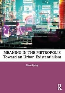 Meaning In The Metropolis by Epting & Shane Missouri University of Science and Technology & USA Paperback