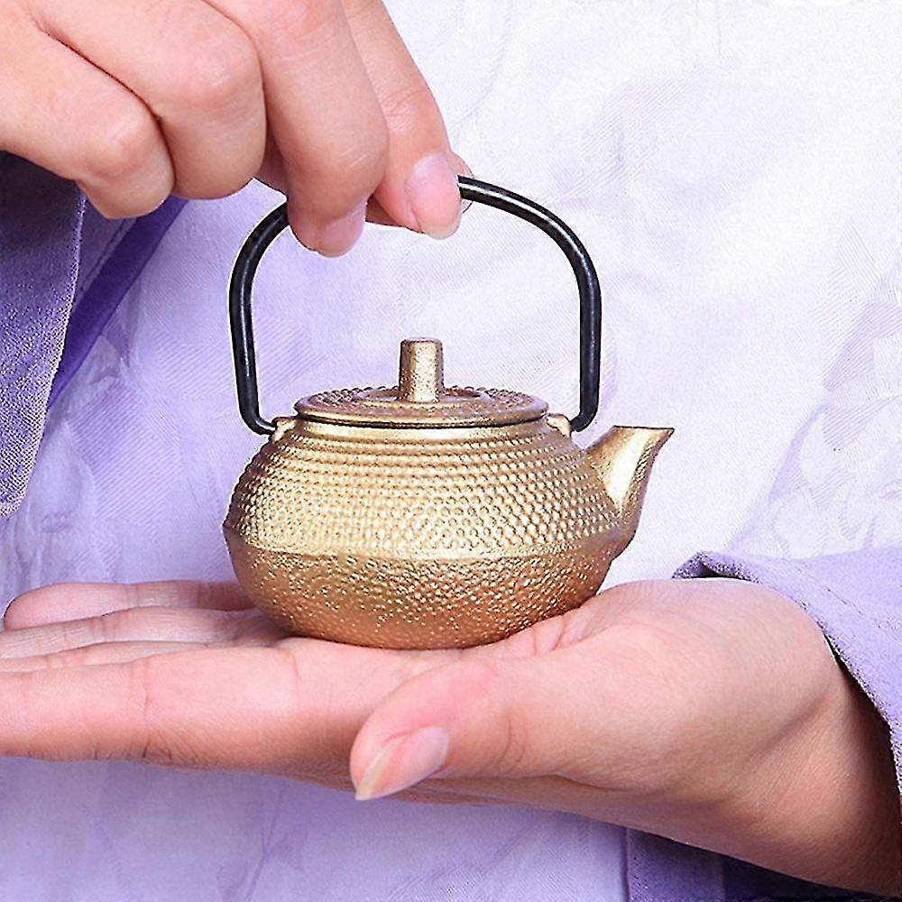 small pets kettle ornament rustproof cast iron teapot office