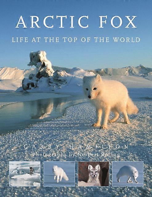Arctic Fox by Garry Hamilton Paperback