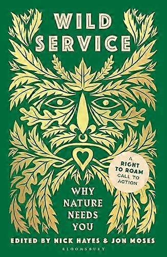 Wild Service by Nick Hayes Paperback