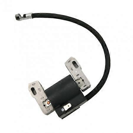 Ignition Briggs&Stratton 843931
