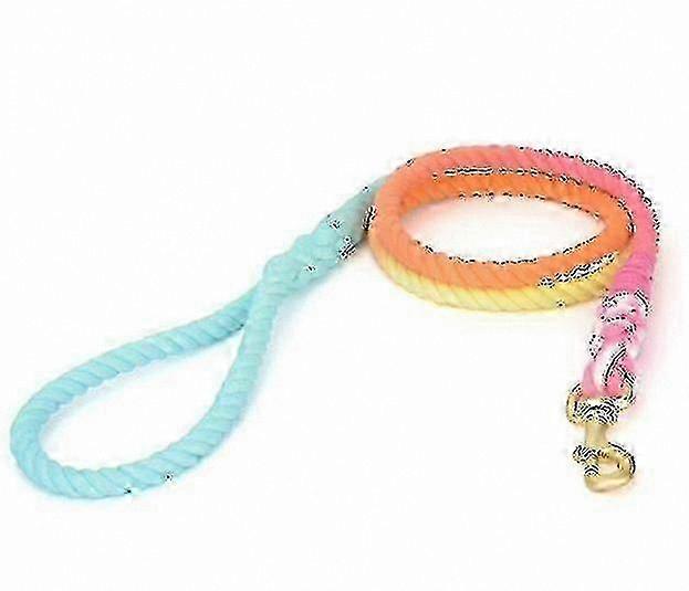 Rainbow Braided Leash for Dogs and Cats with Gradient Colors