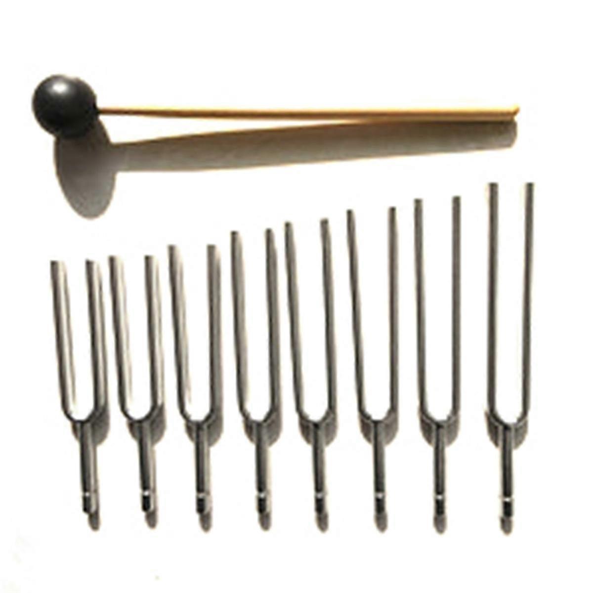Improved Quality 8Pcs Steel Tuning Fork Set - C256 to C512HZ with Mallet Vibration Tool for Health Physics Vibrations