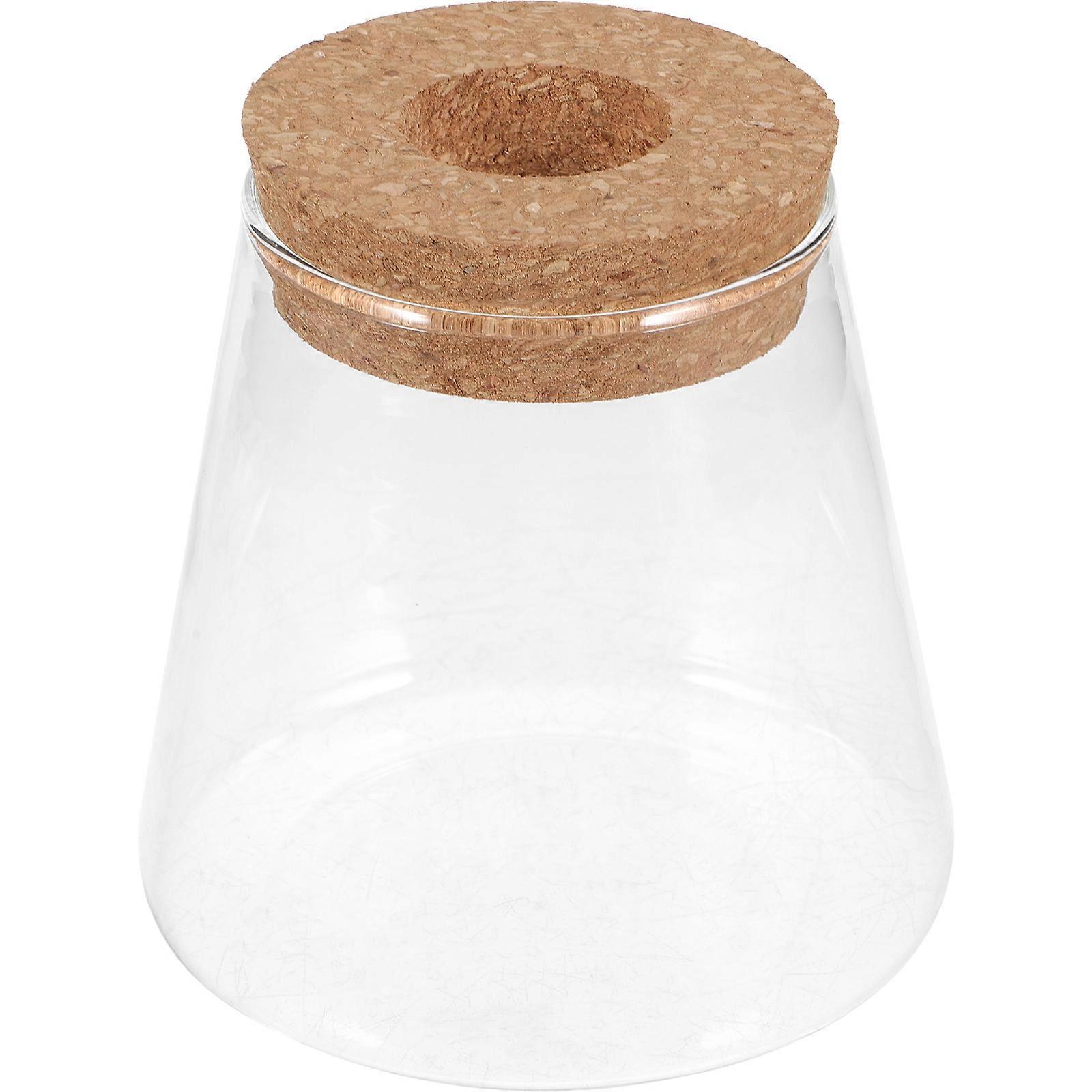 Glass Terrarium for Decor 3Pcs Micro Landscape Hydroponic Container
