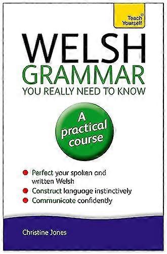 Welsh Grammar You Really Need to Know: Teach Yourself