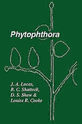 Phytophthora