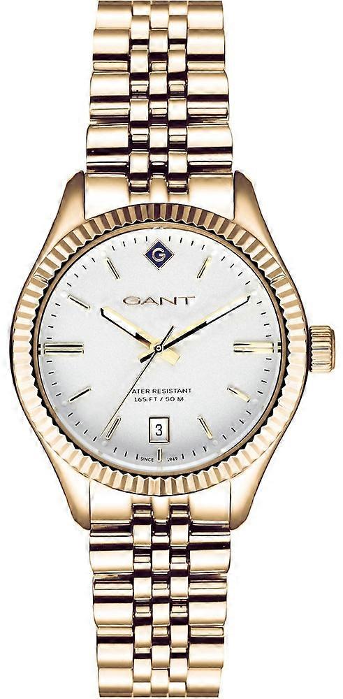 GANT G136008