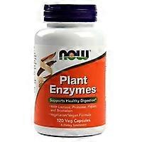 Vegetable Enzymes 120 capsules