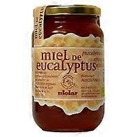 Organic Eucalyptus Honey 500 g