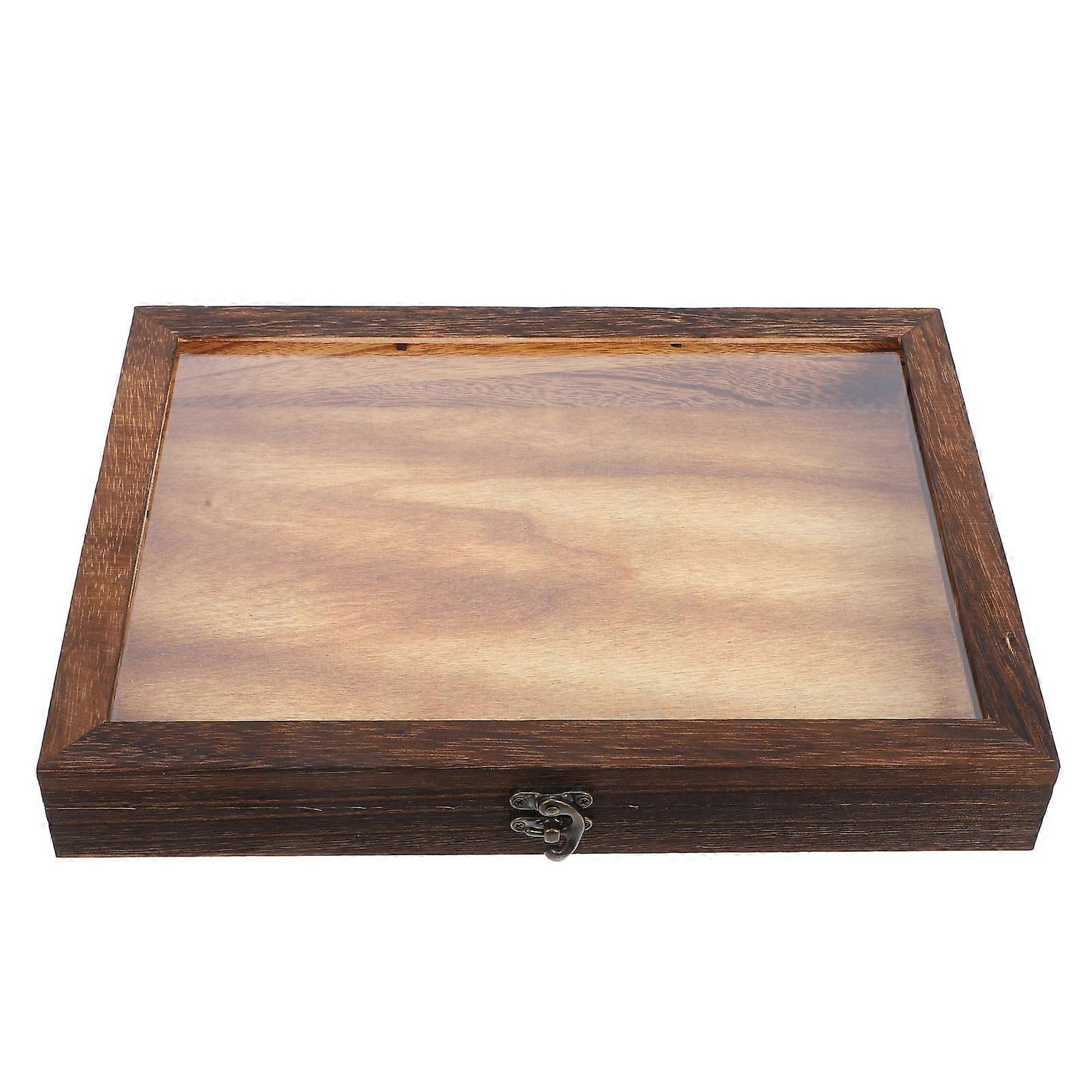 Insect Specimen Display Case Dustproof Specimen Case Butterflies Storage Box