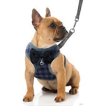 Ensemble de harnais et de laisse pour petit chien - Harnais pour animaux de compagnie sans traction avec gilet en nylon en maille douce pour petits chiens et chats-Bleu