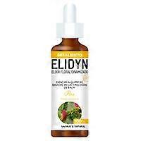 Pine 20 ml of floral elixir