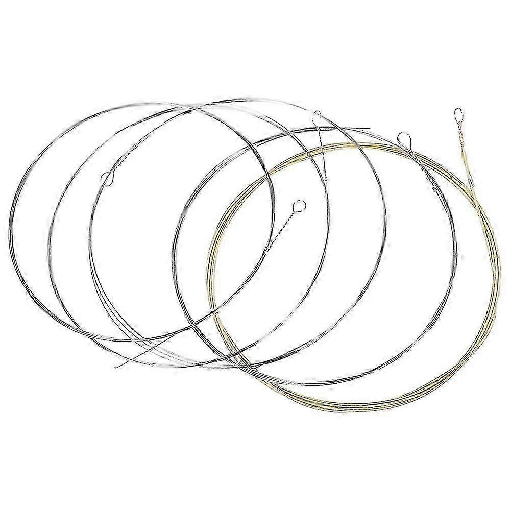 Wear-Resistant 5-String Banjo Strings