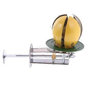 4-5pack Creative Easter Egg Clockwork Collectibles Gift